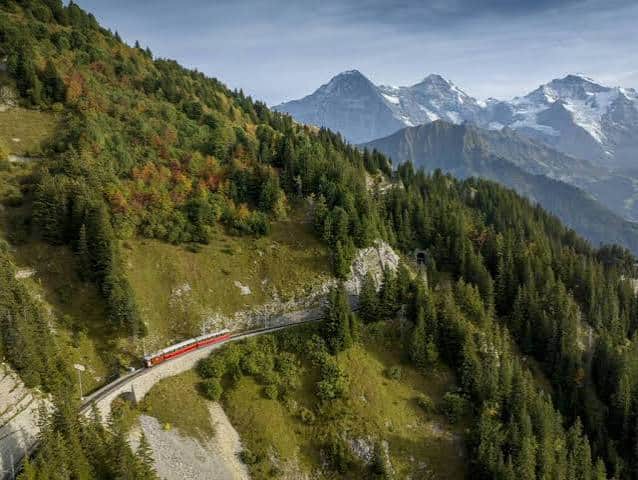 Schynige Platte in summer