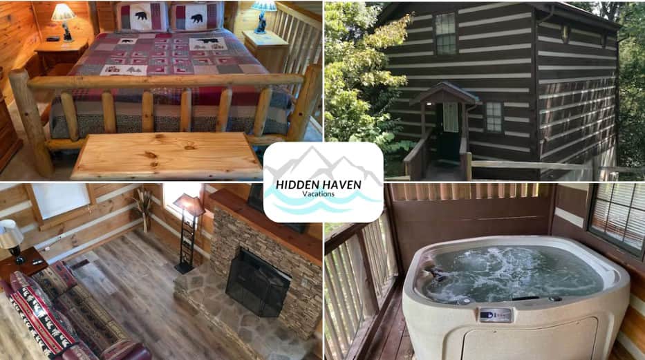 Cuddly Bear Cover Cuddly Bear Cover