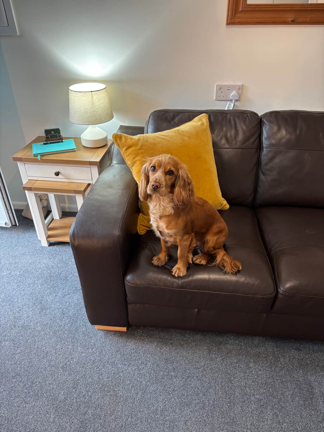 We are dog friendly and have bowels, treats and towels available for your four legged friends