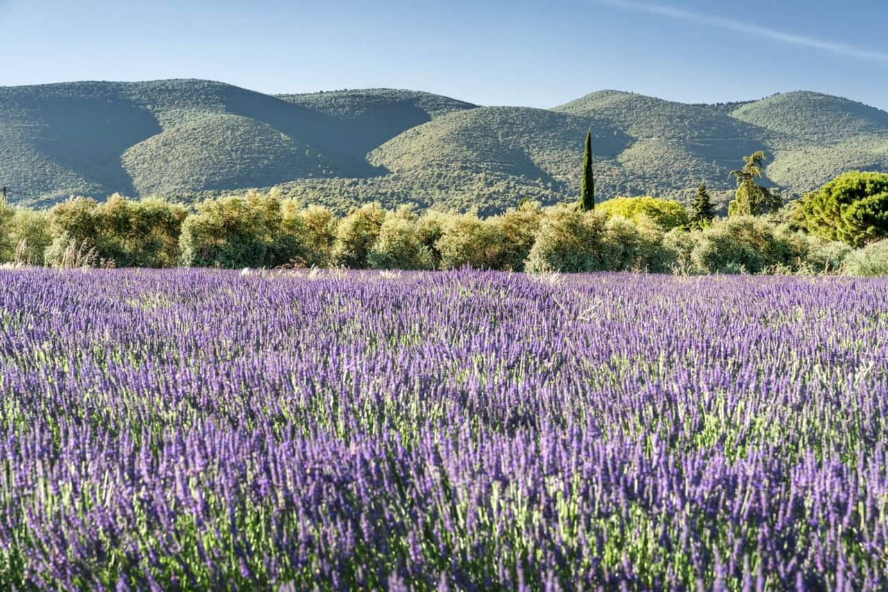 Luberon