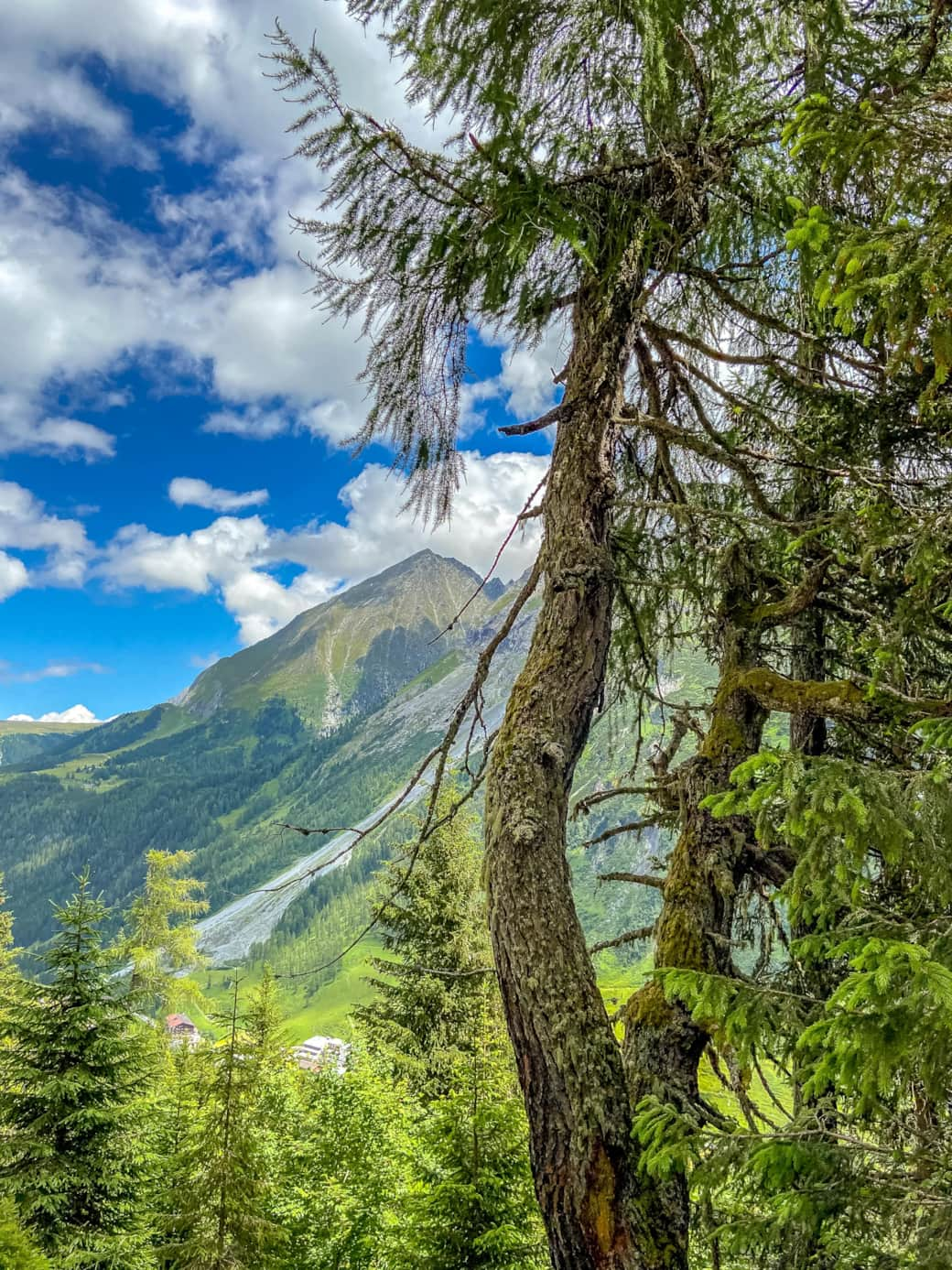 Tiroler Berge