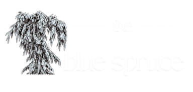 The Weeping Blue Spruce
