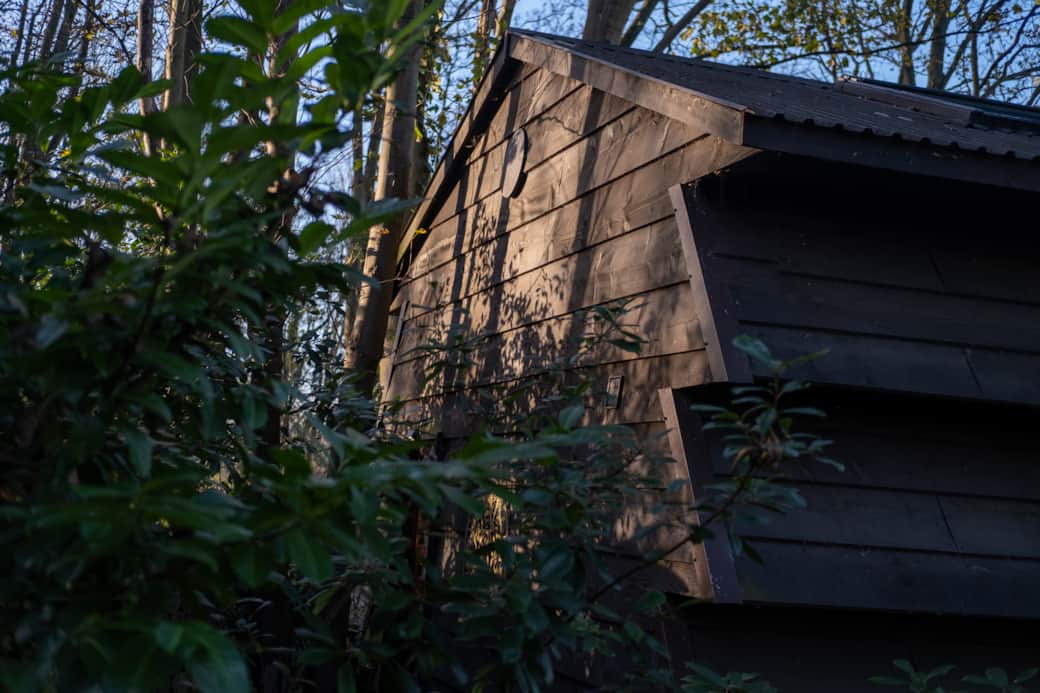 Unique Beehive Design