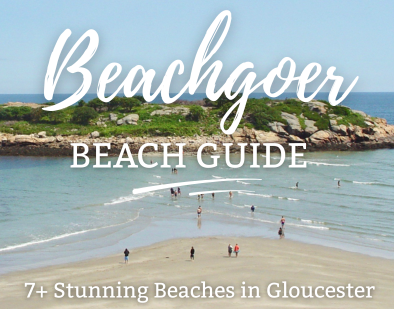 Beach Guide