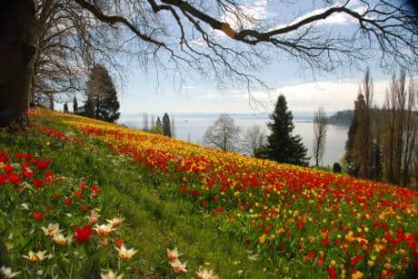 Natur genießen