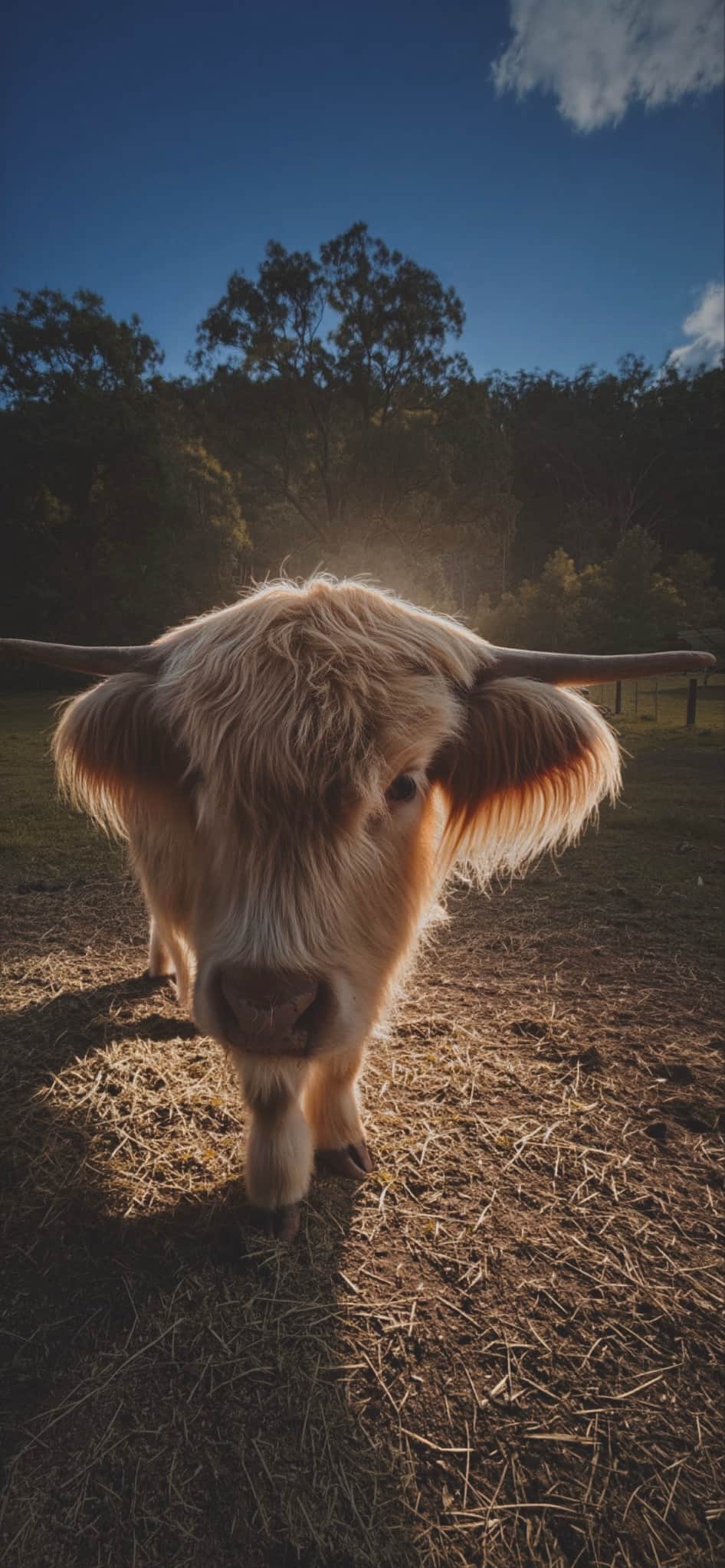 Hunter Valley Hideaway - Hamish