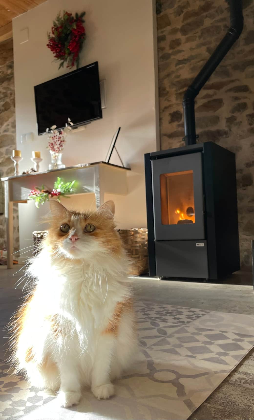 P E T F R I E N D L Y