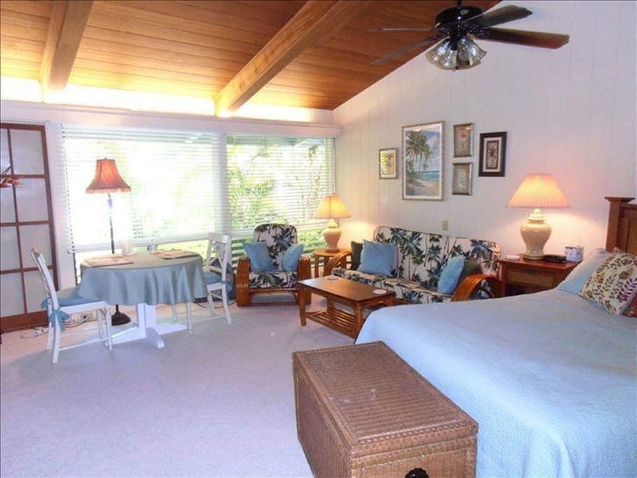 Tropical Breeze- Living Area and Queen Size Bed