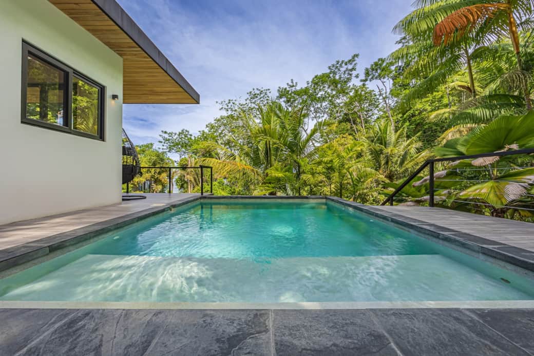 Plunge Pool with jungle views
