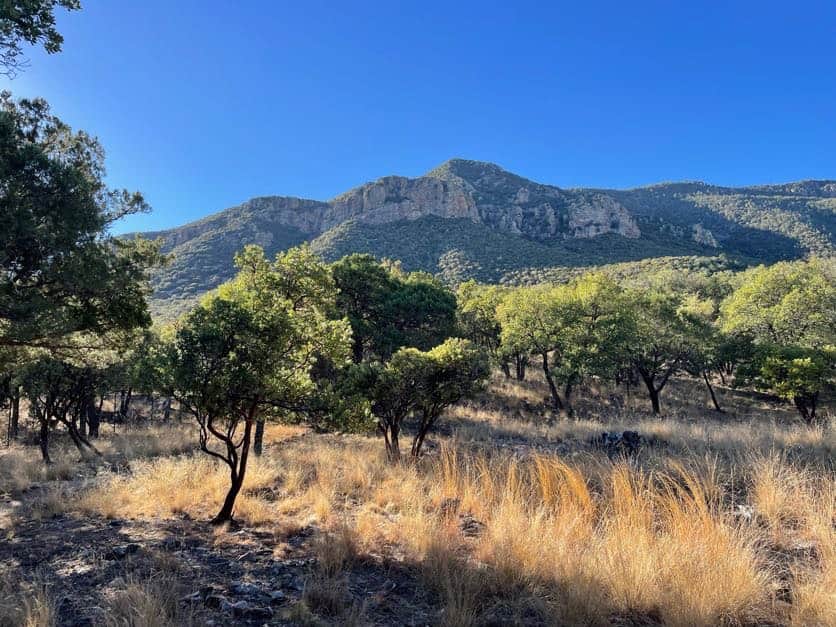 Views from Majestic View Trail.