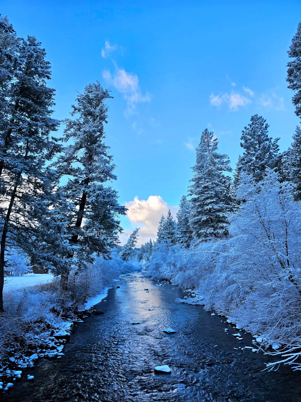 East Fork of the Bitterroot River East Fork of the Bitterroot River