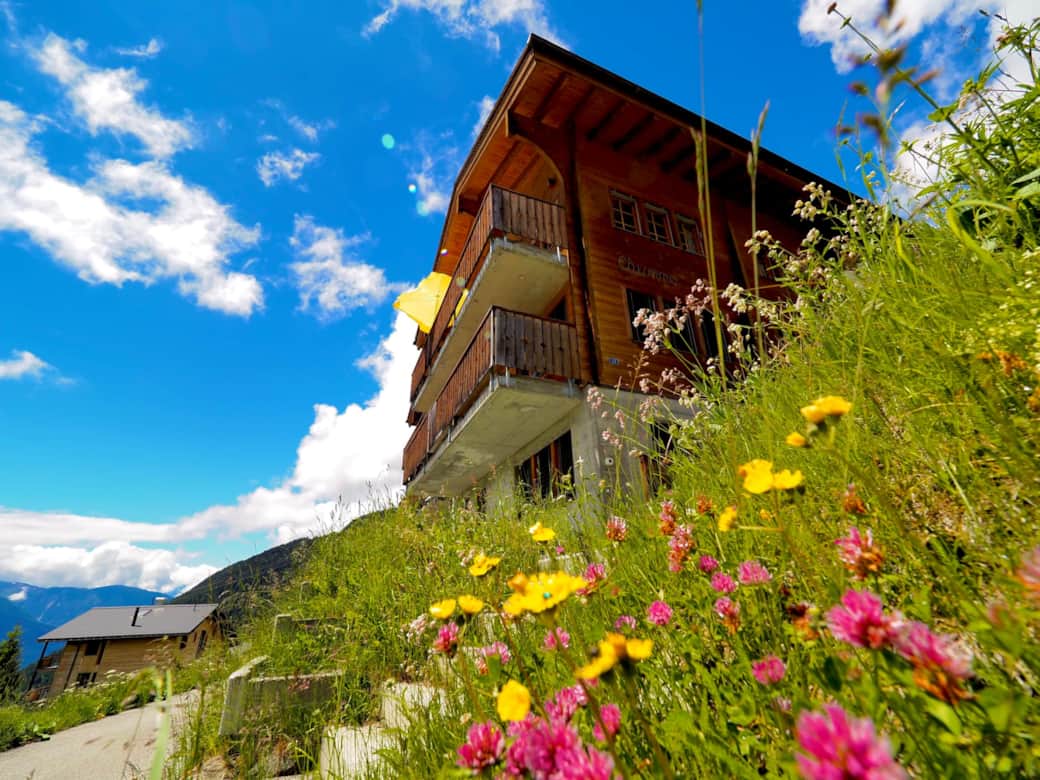 Flower Power im Sommer