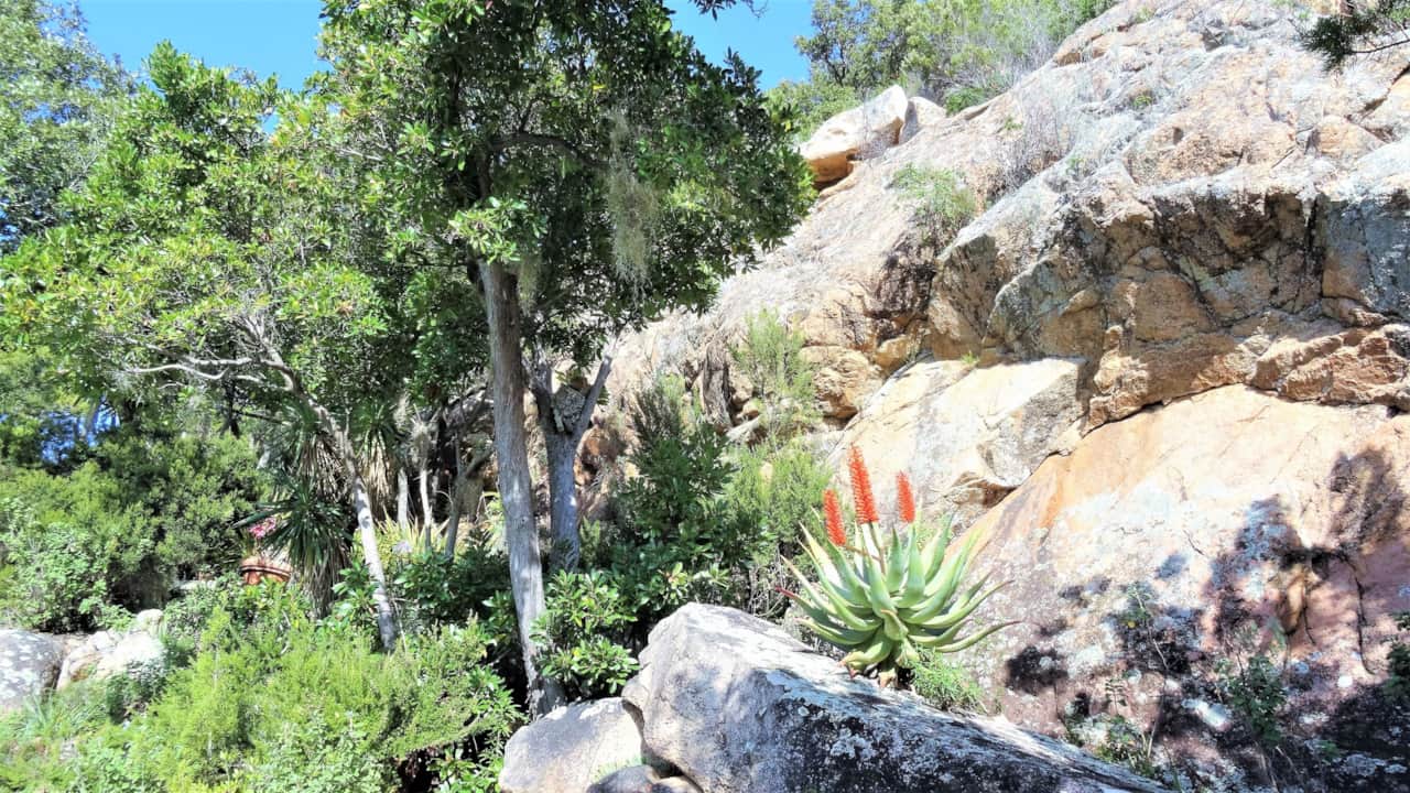 Il giardino.