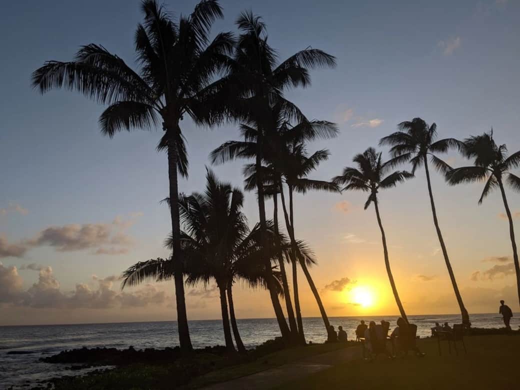 Palms