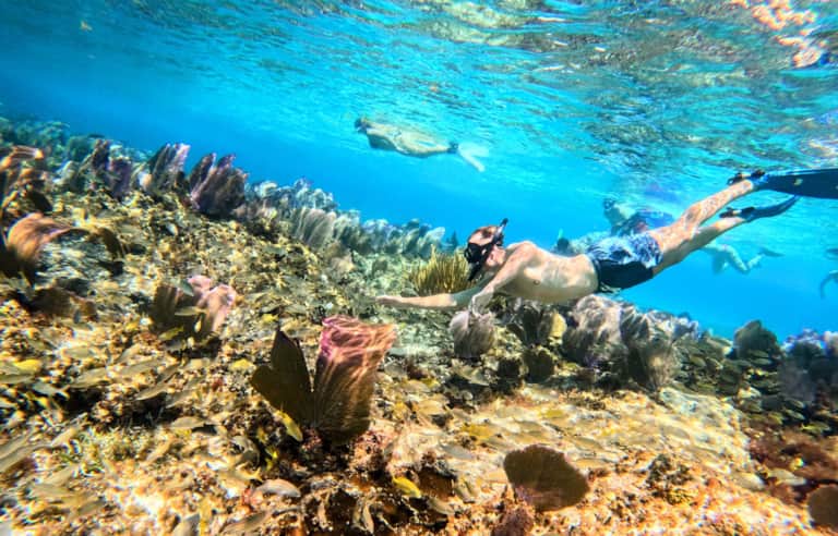 Snorkeler exploring a colorful coral reef in the clear Caribbean water of Cozumel