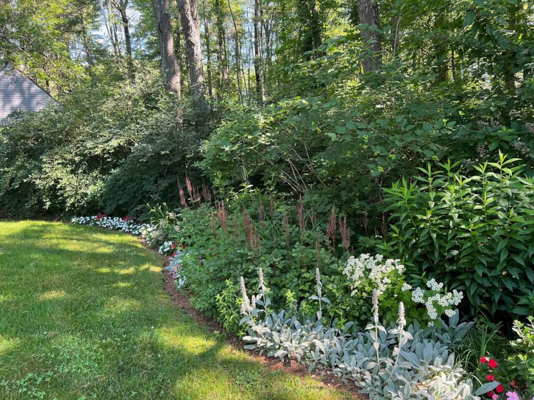 Lush gardens