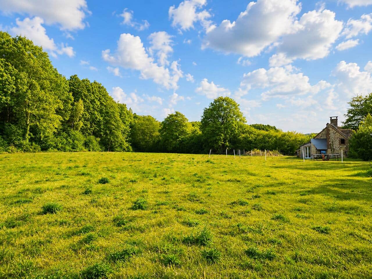 Parc à chevaux