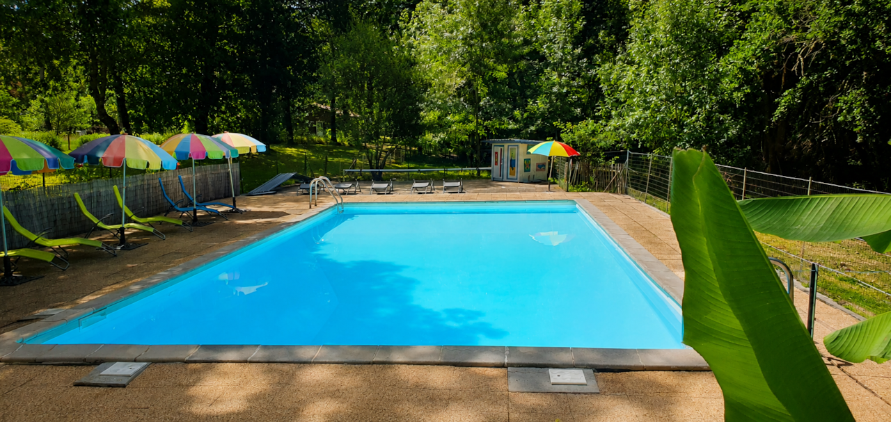 Piscine ensoleillée et jardin paisible