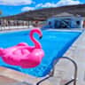 Rental image