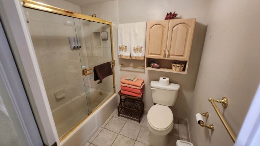 Master Bath