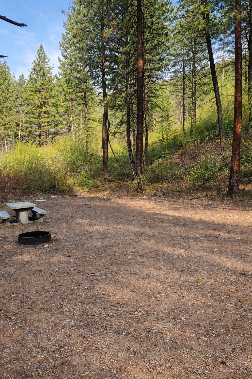 Upper coho 1 Upper coho 1