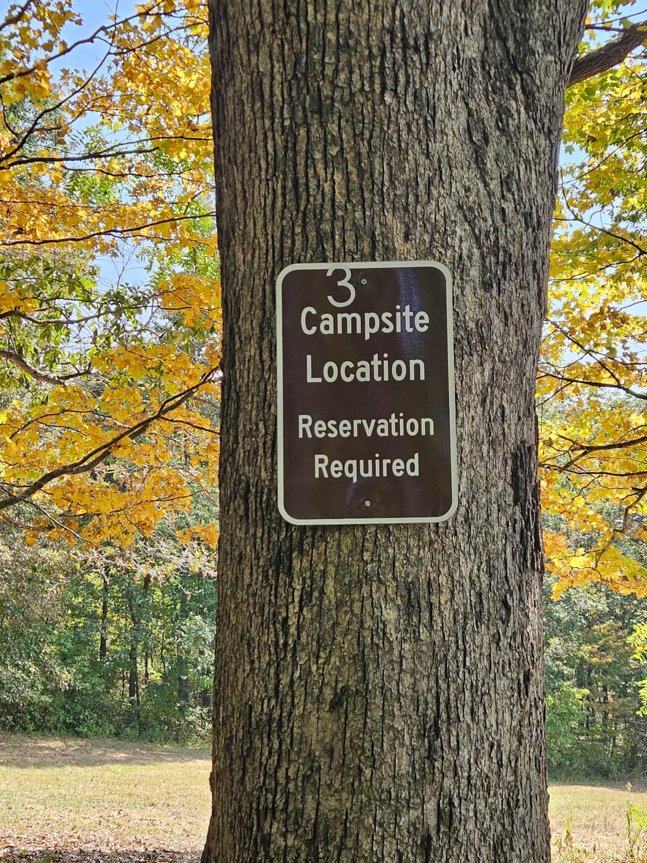 Marked campsite