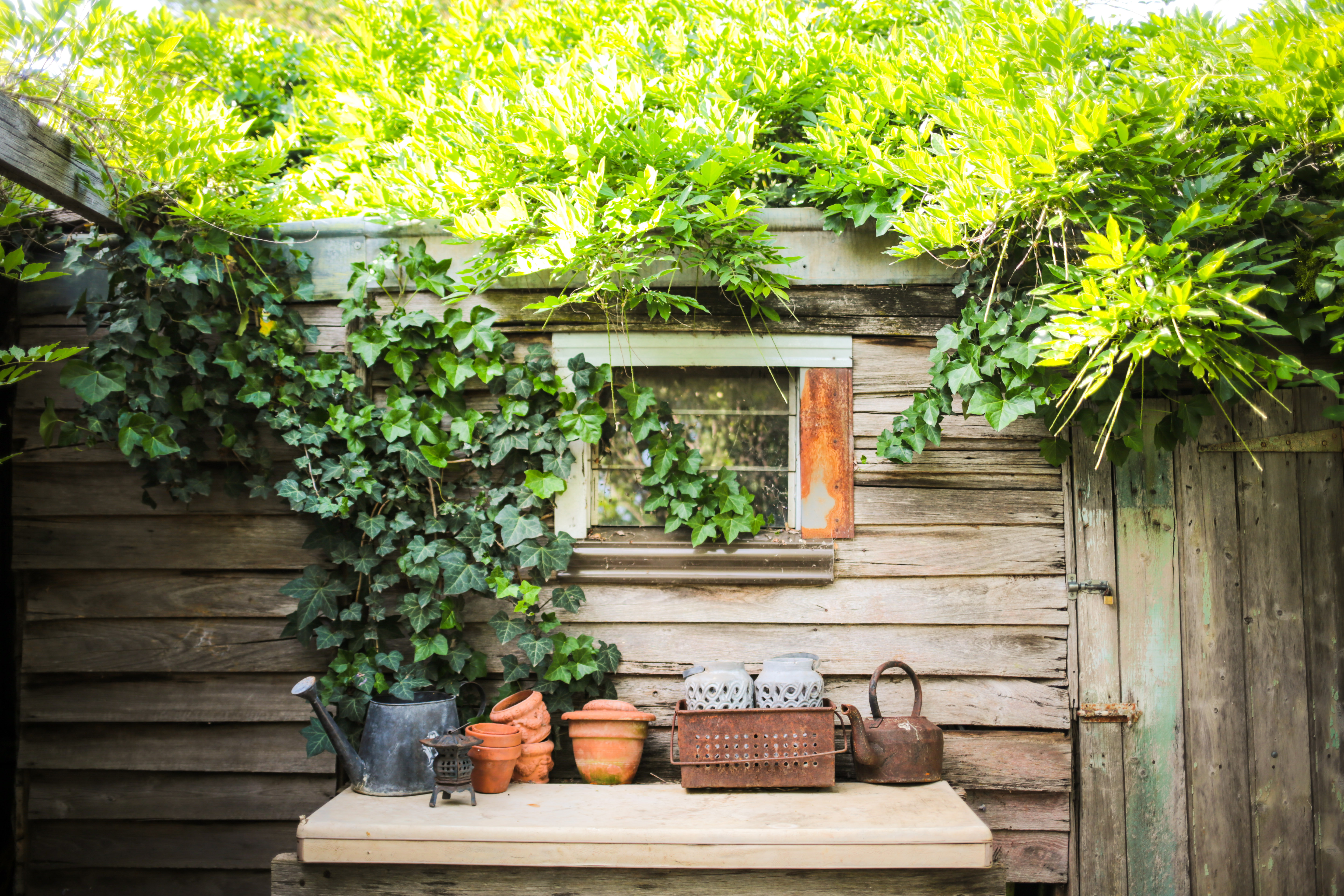 Smiths Cottage  Garden