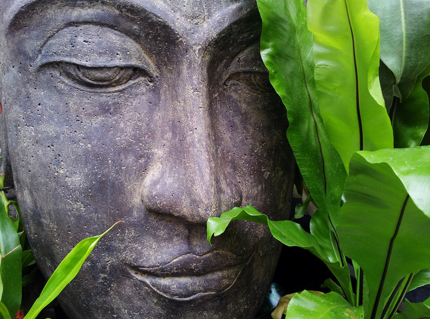 Zen House VIP hero view