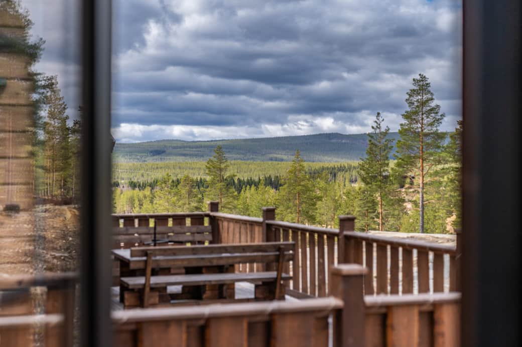 03052025-DSC09846 (1)