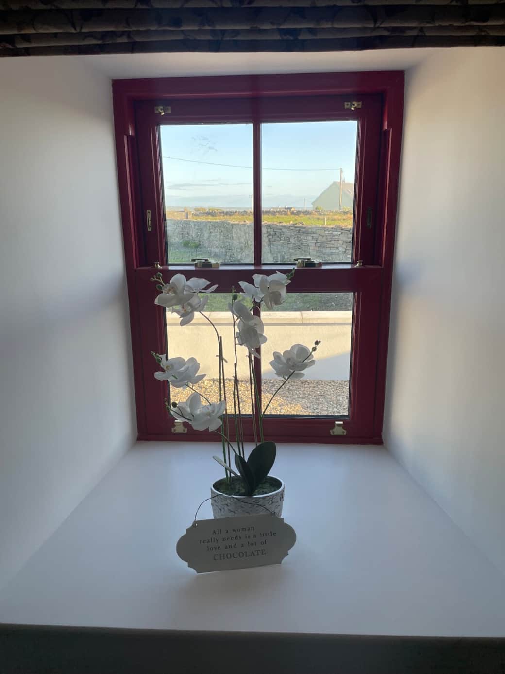 Living area front window