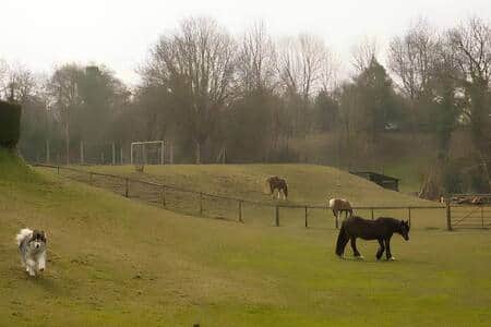 Your Horse Stable Views From 2 Of The 3 Bedrooms Your Horse Stable Views From 2 Of The 3 Bedrooms