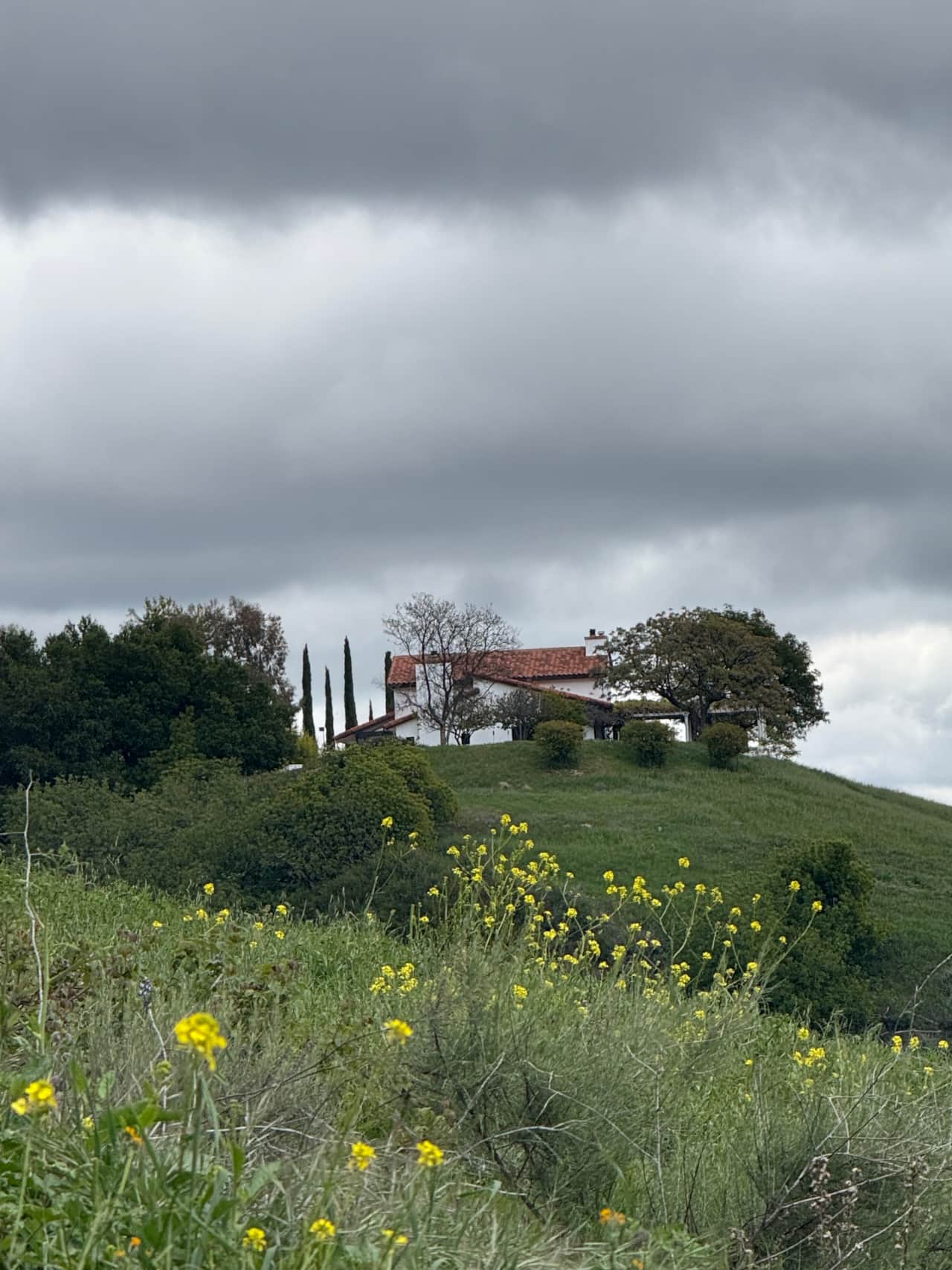 The house from the west slope, with spring wildflowers