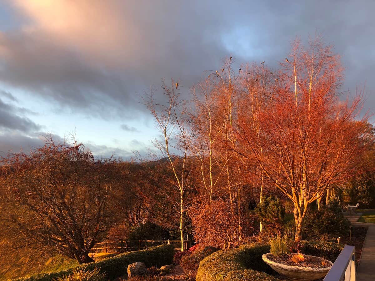 Winter morning sun