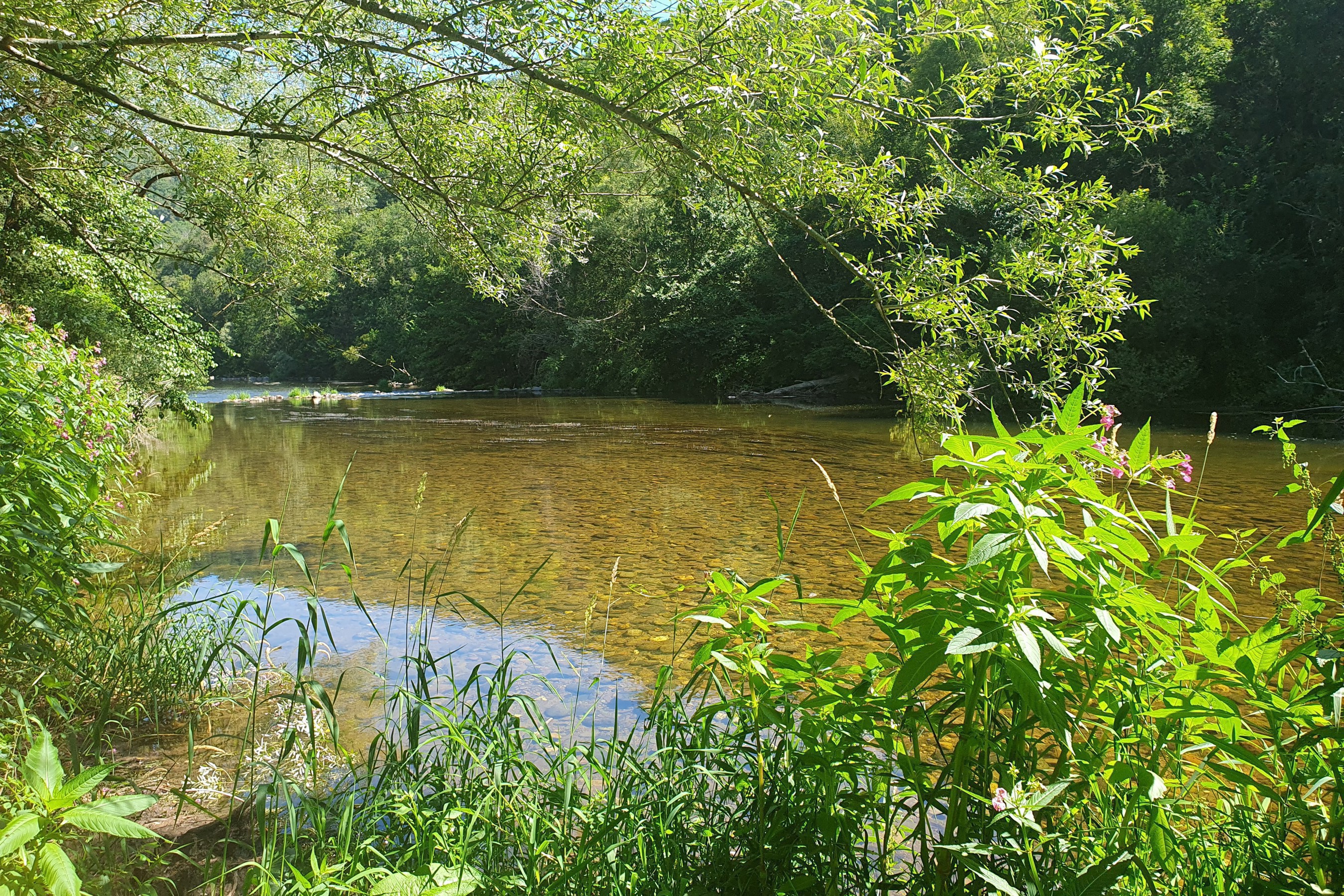 Le Lot, near le Moulinet