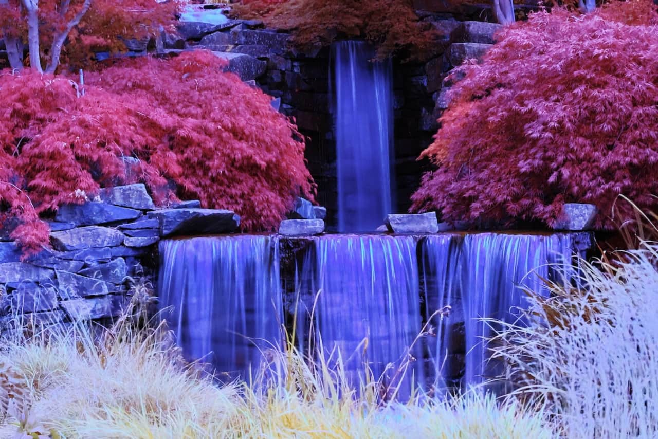 Mayfield Garden, Oberon