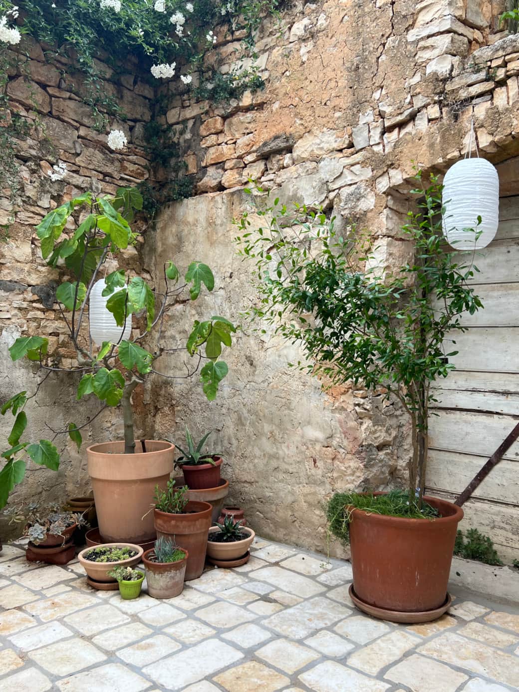 inner courtyard