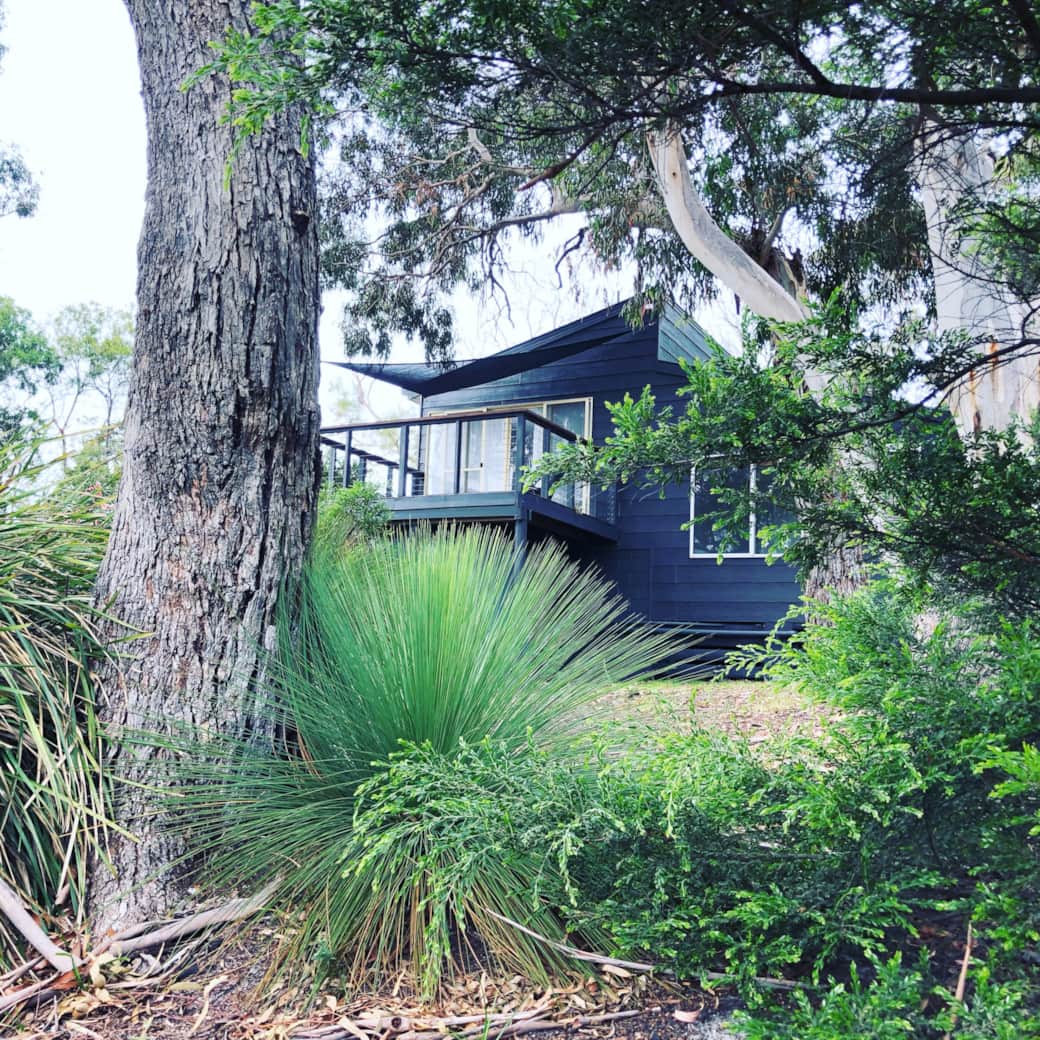 Bushhideaway bayoffires 28