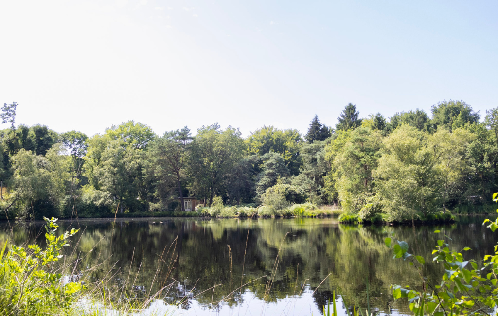 Teich ist in der Nähe