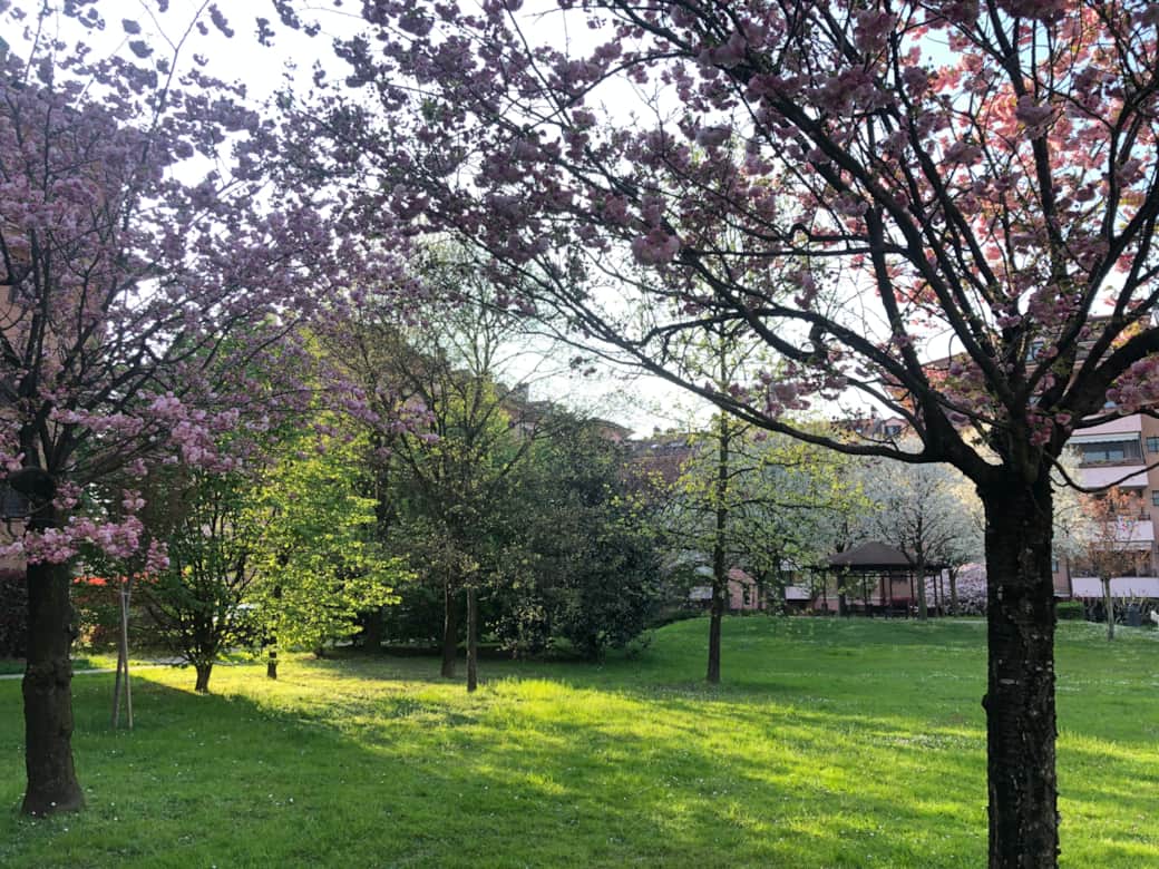 Parco interno