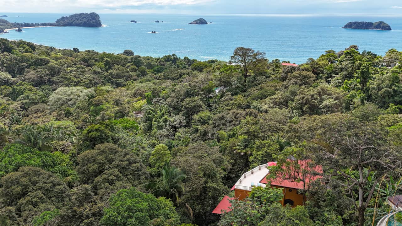 WHERE JUNGLE MEETS THE SEA