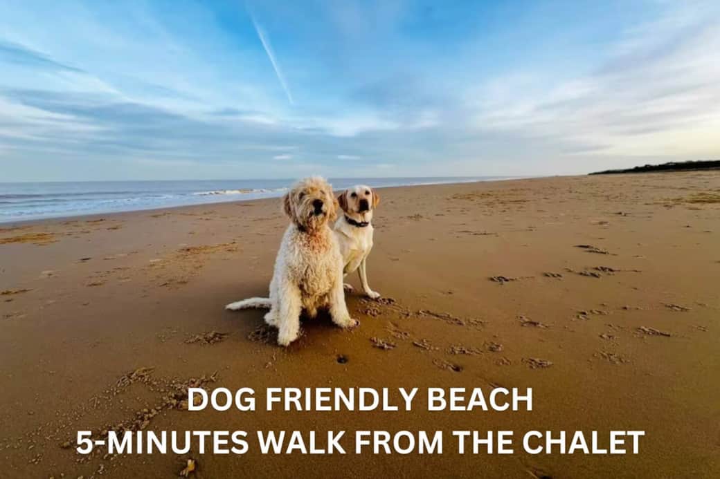 Dog-friendly sandy beach just a 5-minute walk from the chalet