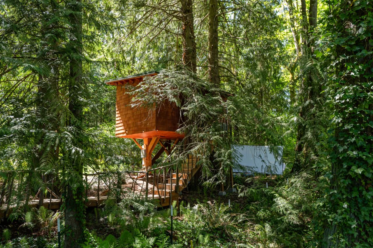 Treehouse nestled in the woods