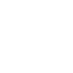 Turtle Paradise Maui