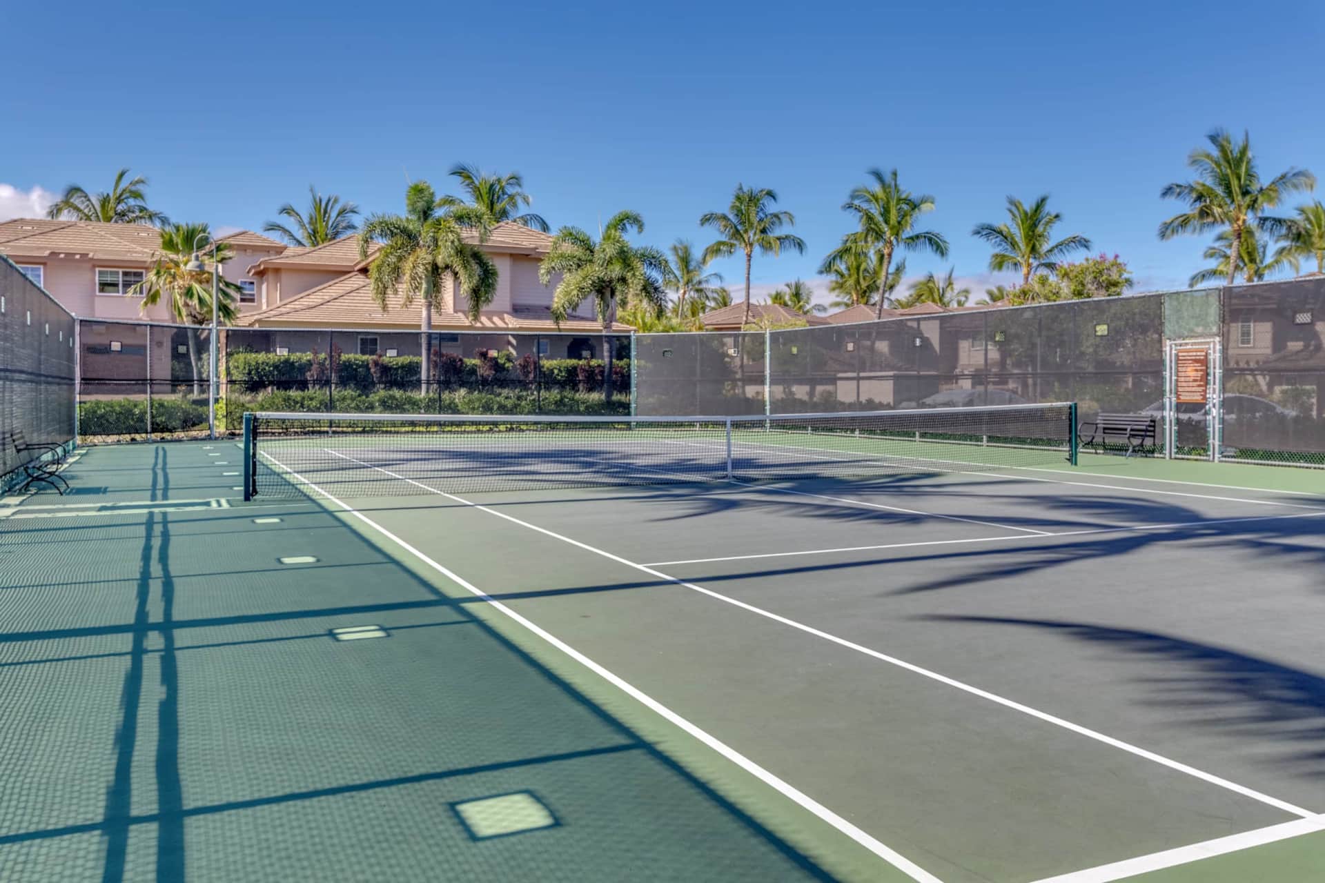 Tennis and Pickle Ball