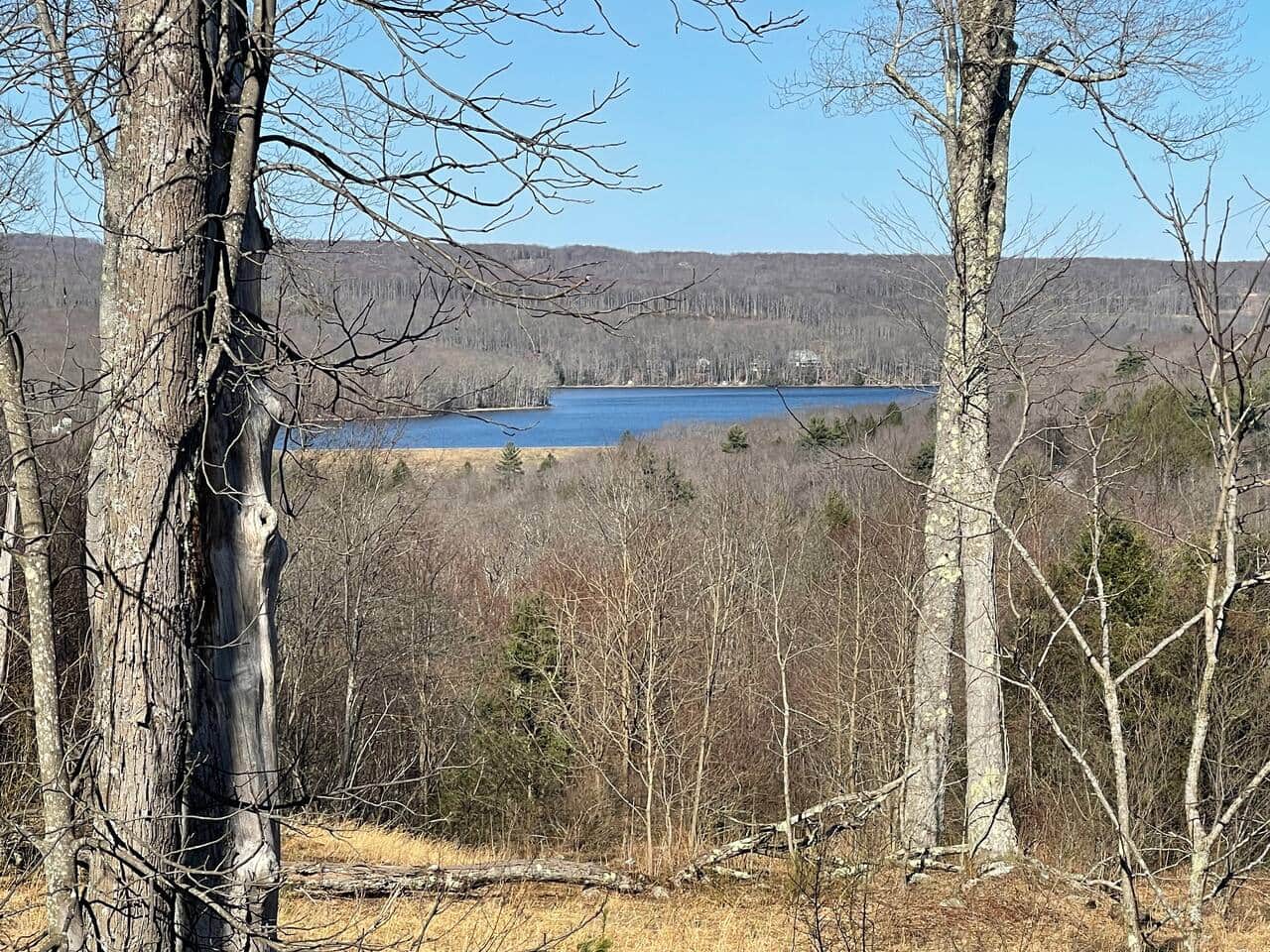 View from Deck