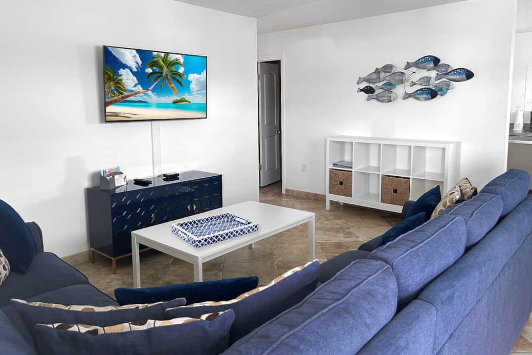 41 - Large Sectional Sofa and New Smart TV