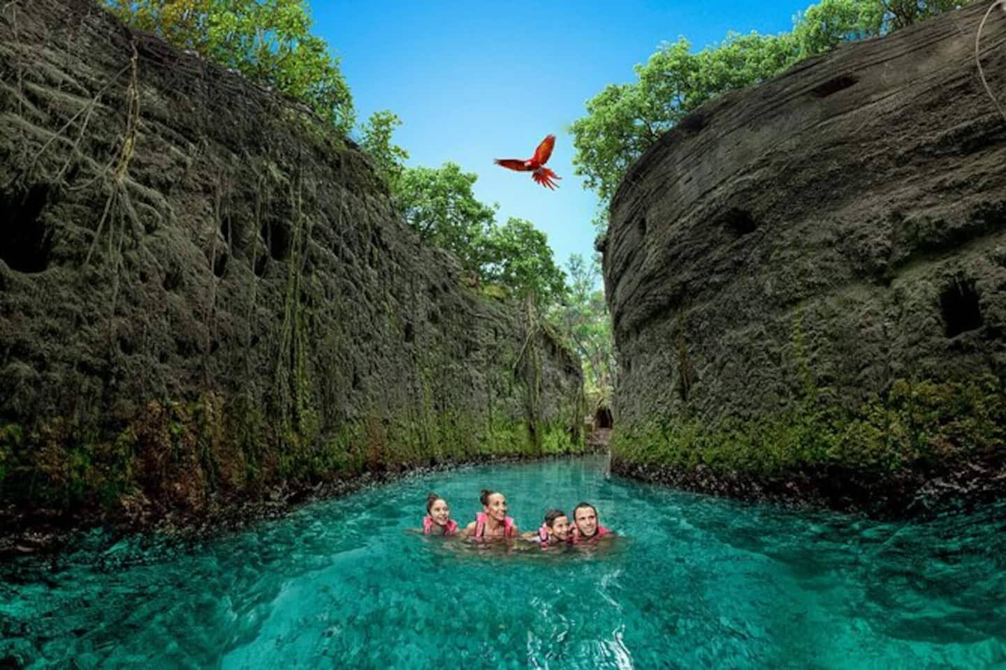 Just 30 minutes to Xcaret Park, home to 50+ attractions like underground rivers, the Aviary, Butterfly Pavilion, and Coral Reef Aquarium. Savor traditional cuisine and enjoy the vibrant Xcaret México Espectacular show with over 300 artists!