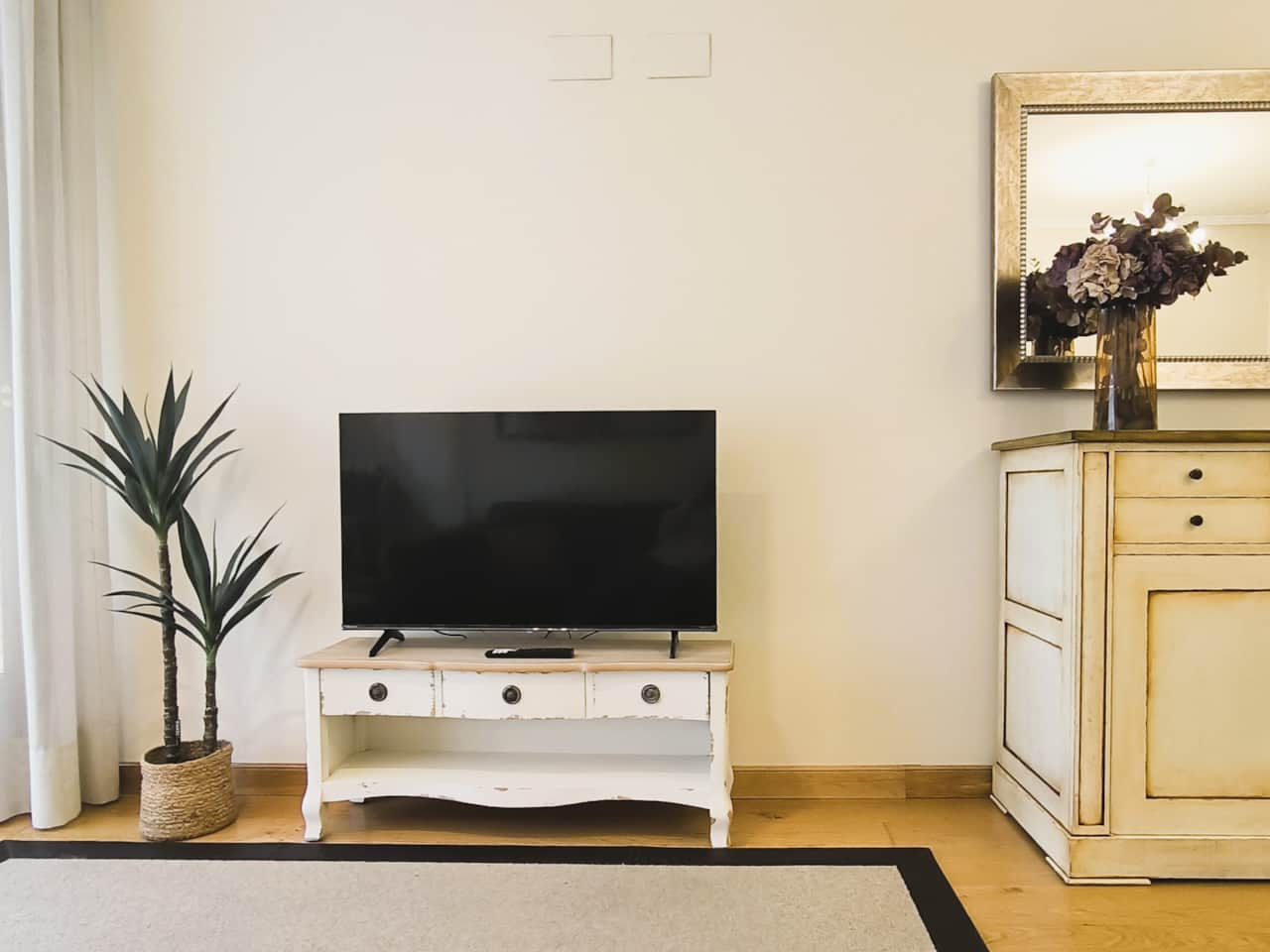 Salón_TV con Netflix