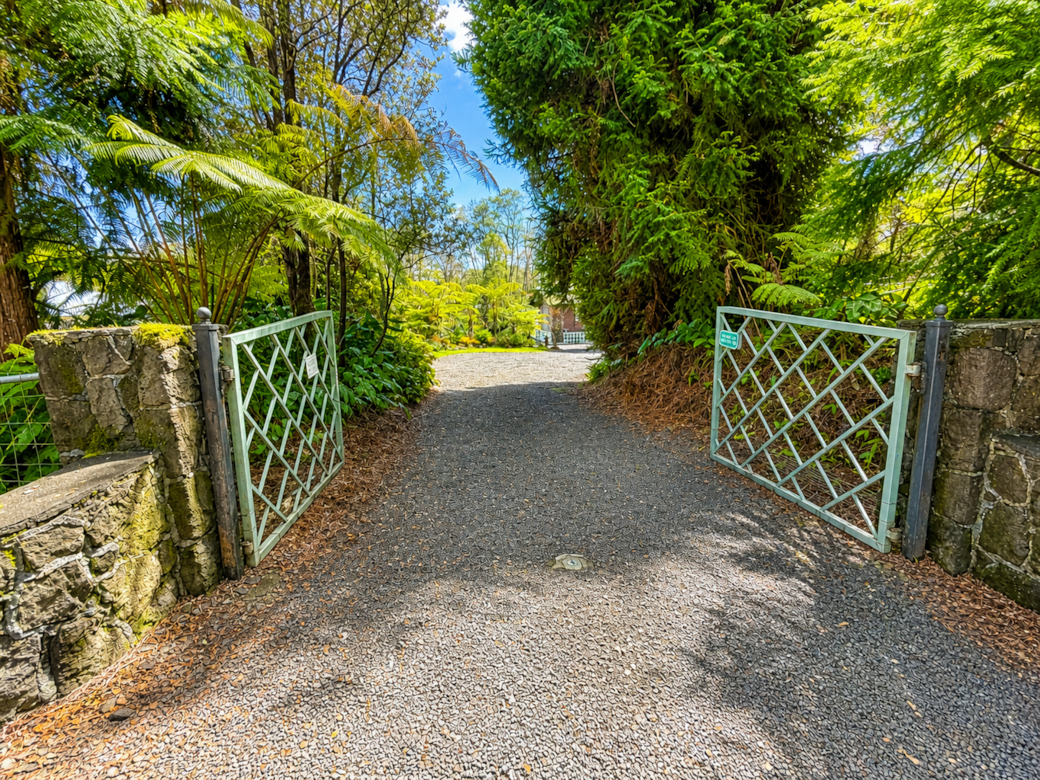 Front Gate and private driveway