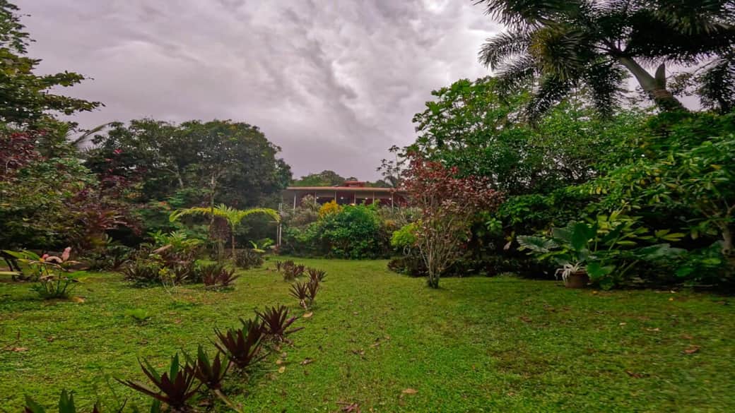 Conchy Tonk viewed from deeper within the garden, highlighting privacy, tropical landscaping, and the elevated terrace overlooking the property.
